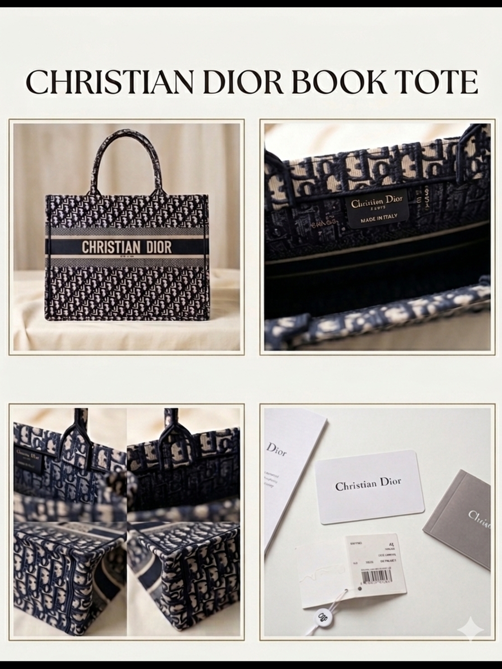 Fasion Dior Navy & Beige Book Tote
